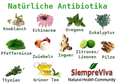 001-natuerliche-antibioka